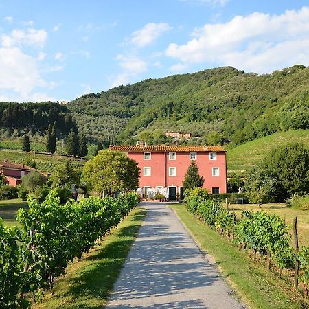 Agriturismo Le Murelle Lucques Extérieur photo