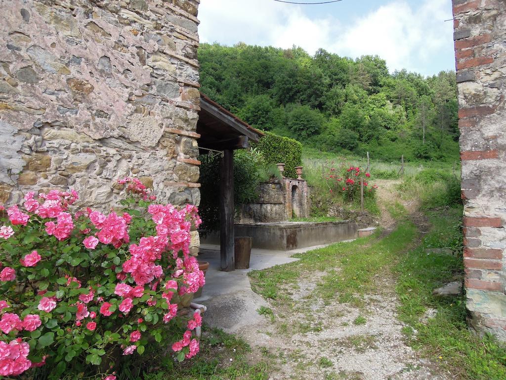Agriturismo Le Murelle Lucques Extérieur photo