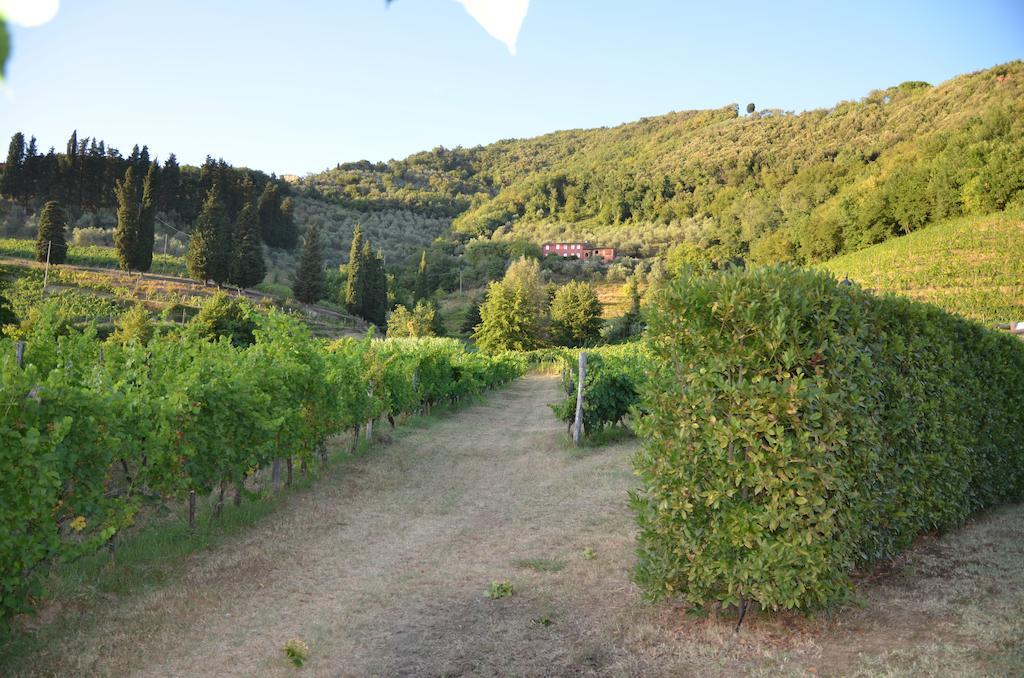 Agriturismo Le Murelle Lucques Extérieur photo